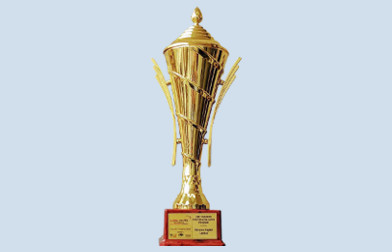 Award01